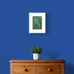 White Peacock Feather on Green Textured Paper Framed in White on a Blue Wall Above a Wooden Drawer Unit