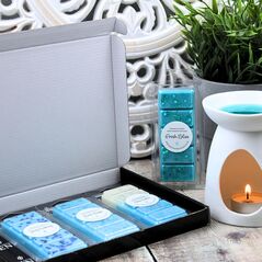 Clean & Fresh Laundry Wax Melt Collection By Smith & Kennedy Scents Glasgow
