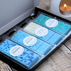 Clean & Fresh Laundry Wax Melt Collection By Smith & Kennedy Scents Glasgow