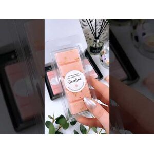 Perfume Inspired wax melt Snap Bar Collection